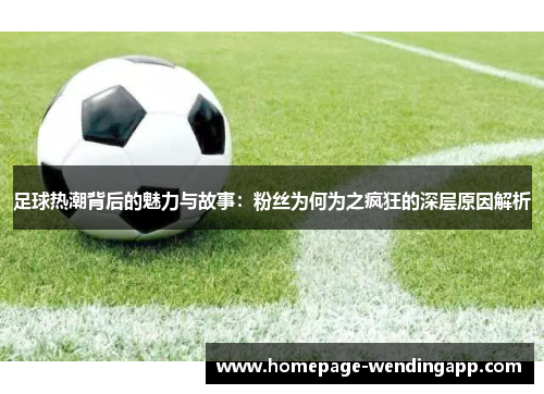 足球热潮背后的魅力与故事：粉丝为何为之疯狂的深层原因解析