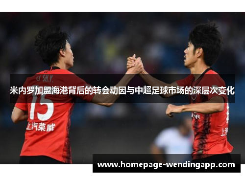 米内罗加盟海港背后的转会动因与中超足球市场的深层次变化