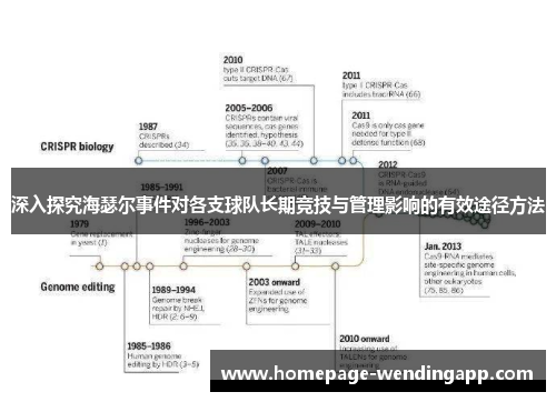 深入探究海瑟尔事件对各支球队长期竞技与管理影响的有效途径方法