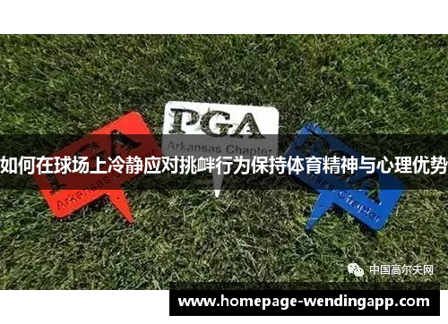 如何在球场上冷静应对挑衅行为保持体育精神与心理优势