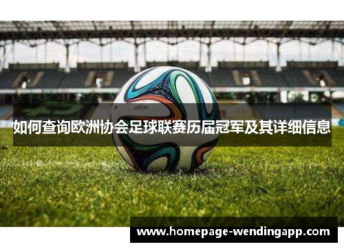 如何查询欧洲协会足球联赛历届冠军及其详细信息