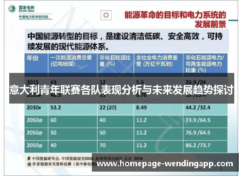 意大利青年联赛各队表现分析与未来发展趋势探讨 意大利青年联赛各队表现分析与未来发展趋势探讨