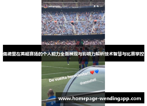 佩德里在英超赛场的个人能力全面展现与影响力解析技术智慧与比赛掌控 佩德里在英超赛场的个人能力全面展现与影响力解析技术智慧与比赛掌控