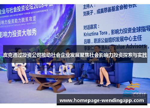 皮克通过投资公司推动社会企业发展聚焦社会影响力投资探索与实践