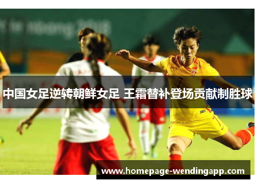 中国女足逆转朝鲜女足 王霜替补登场贡献制胜球