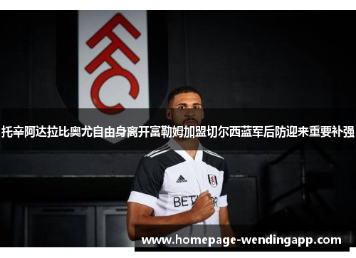 托辛阿达拉比奥尤自由身离开富勒姆加盟切尔西蓝军后防迎来重要补强