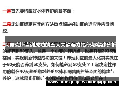 阿贾克斯青训成功的五大关键要素揭秘与实践分析