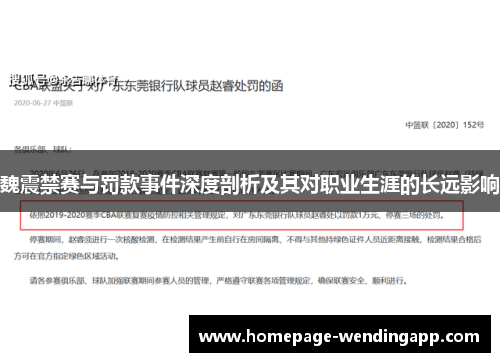 魏震禁赛与罚款事件深度剖析及其对职业生涯的长远影响