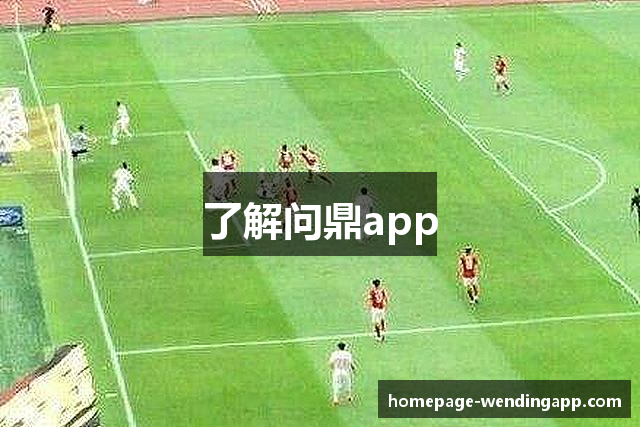 了解问鼎app